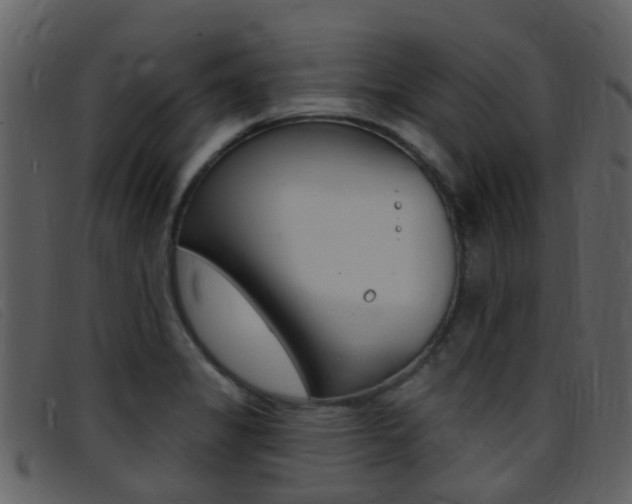 X0000096661325200802050948