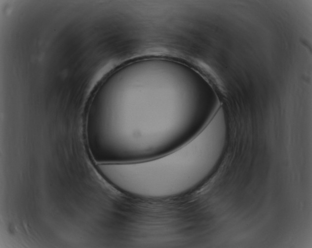 X0000096661326200802050948