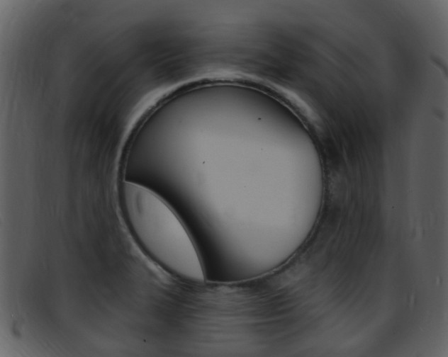 X0000096661327200802050948