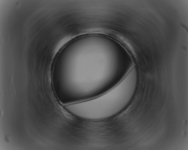 X0000096661328200802050948