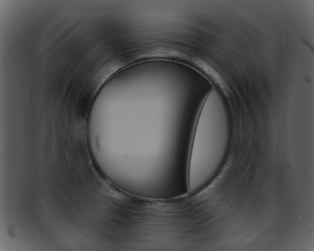 X0000096661329200802050948