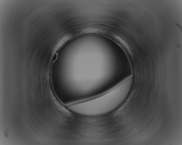 X0000096661330200802050948