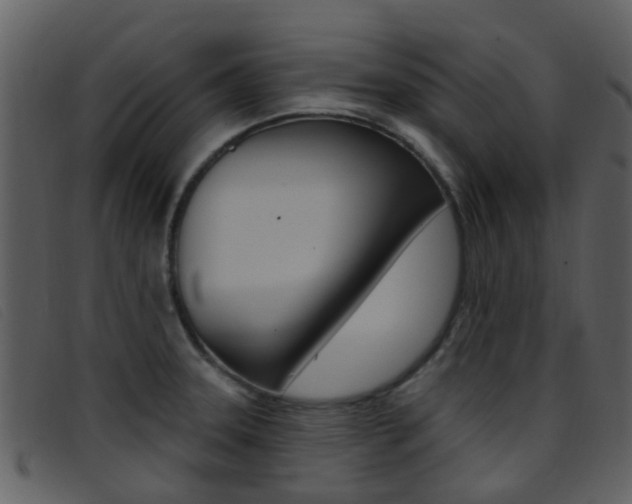 X0000096661331200802050948