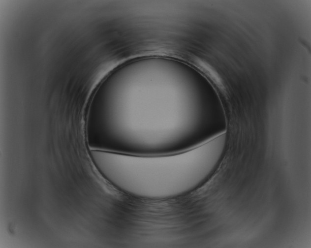X0000096661332200802050948