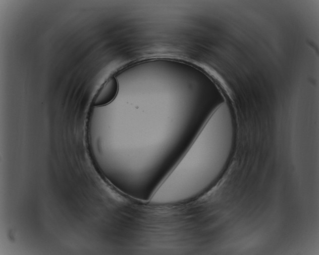 X0000096661333200802050948