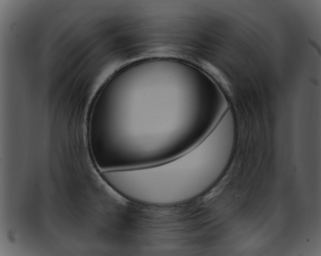 X0000096661334200802050948