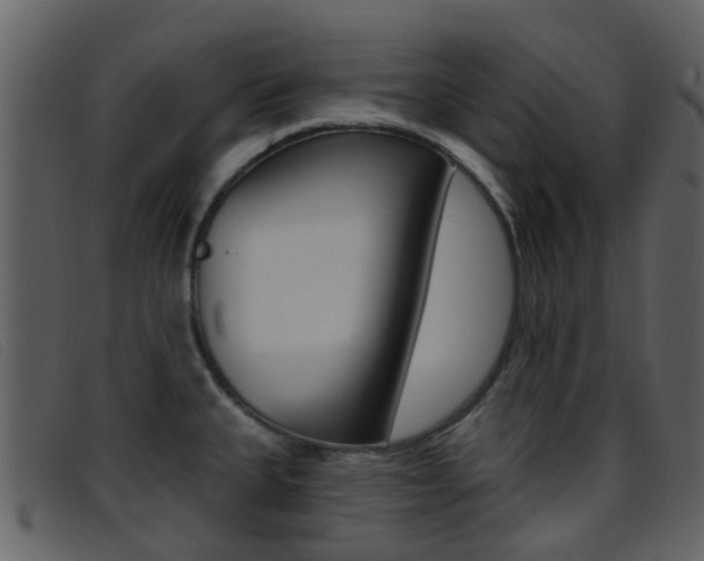X0000096661335200802050948