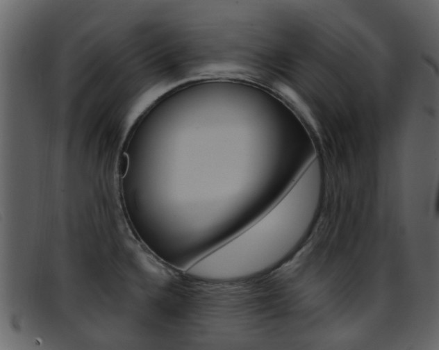 X0000096661336200802050948