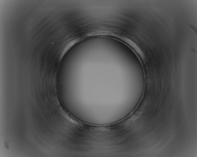 X0000096661337200802050948