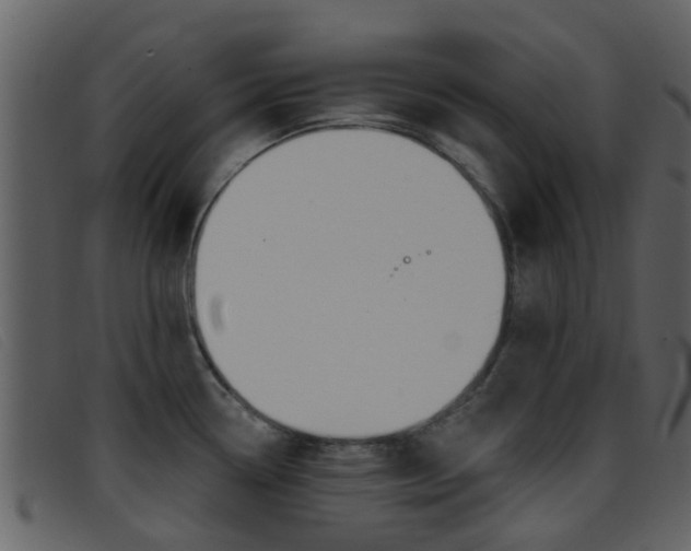 X0000096661338200802050948