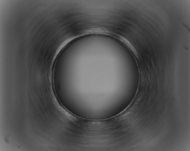 X0000096661339200802050948