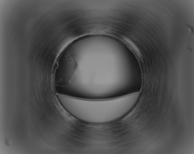 X0000096661340200802050948
