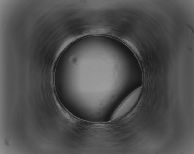 X0000096661342200802050948