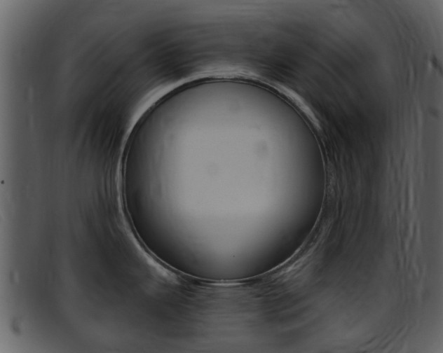 X0000096661343200802050948