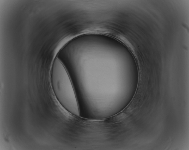 X0000096661344200802050948