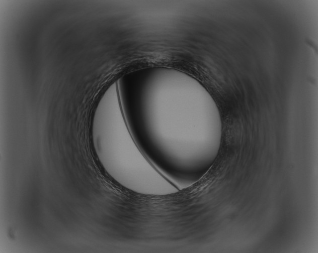 X0000096661345200802050947