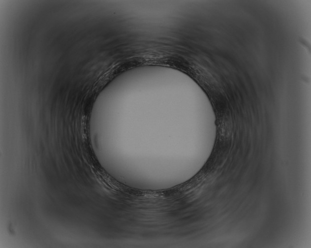 X0000096661346200802050947