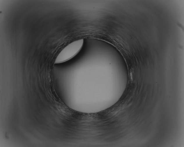 X0000096661347200802050947