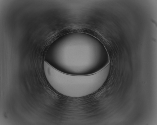 X0000096661348200802050947