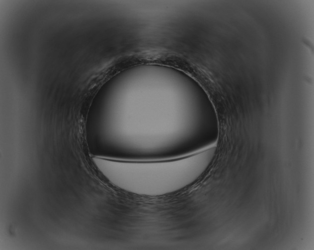 X0000096661349200802050947