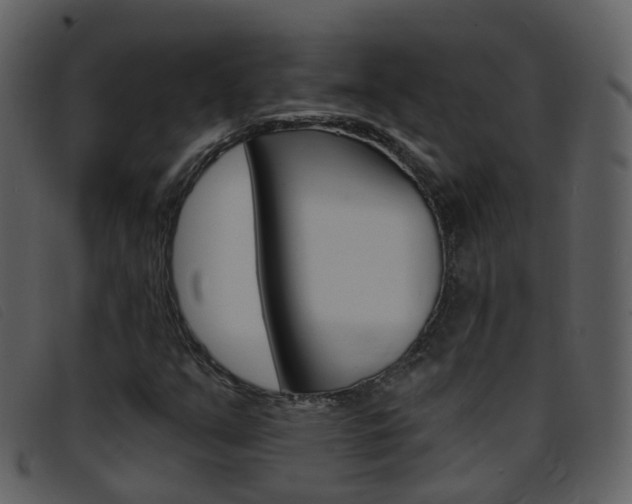 X0000096661351200802050947