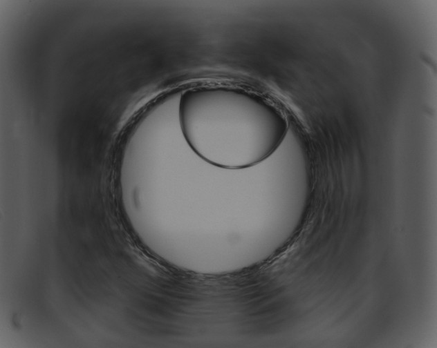 X0000096661352200802050947
