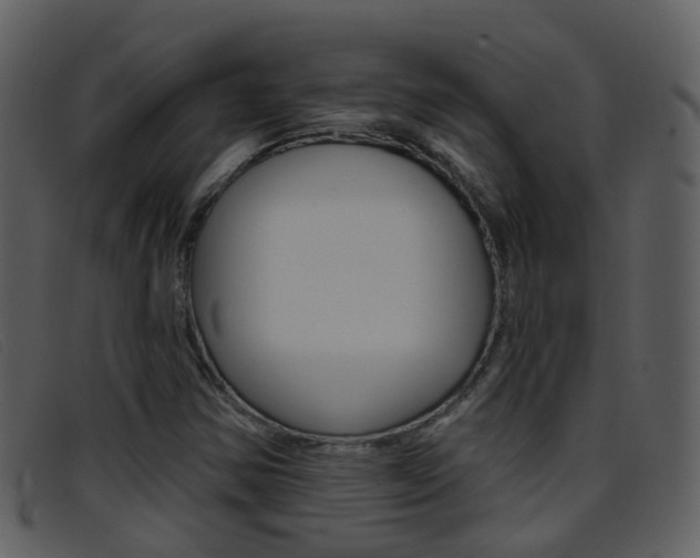 X0000096661354200802050947