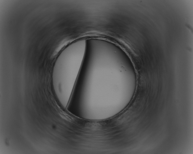 X0000096661355200802050947