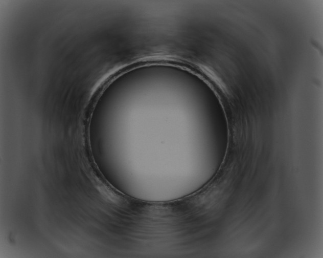X0000096661356200802050947