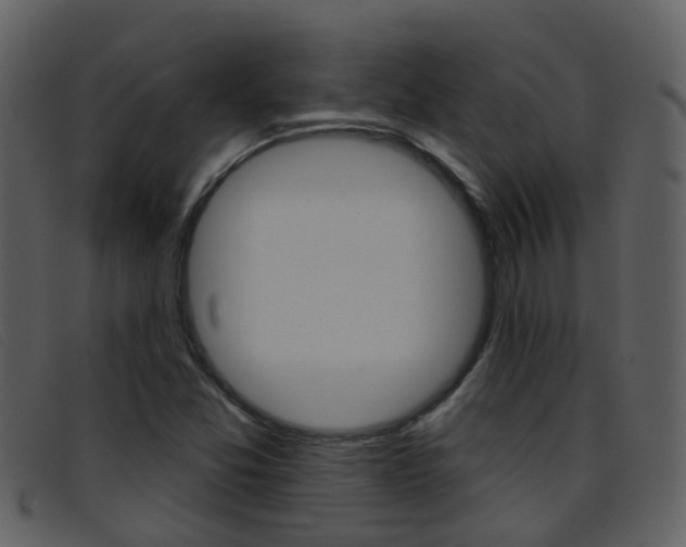 X0000096661357200802050947