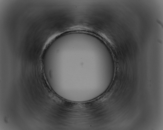 X0000096661358200802050947