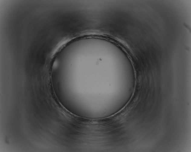 X0000096661359200802050947
