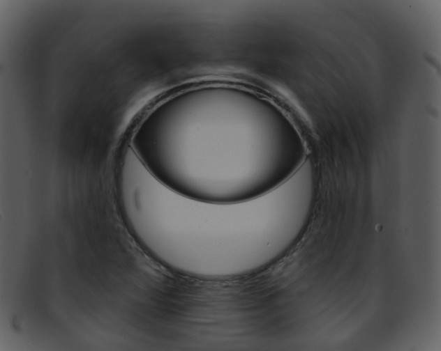 X0000096661360200802050947