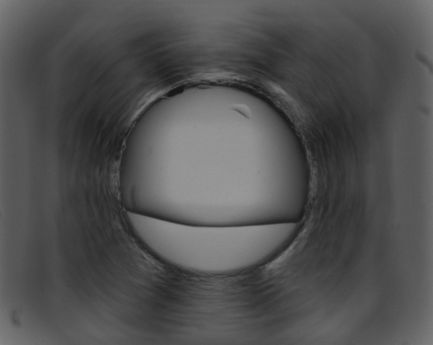 X0000096661361200802050947