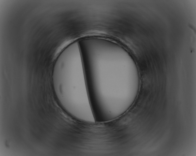 X0000096661363200802050947