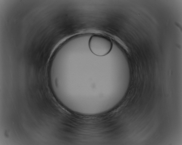 X0000096661364200802050947