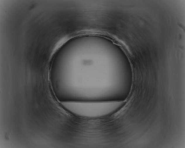 X0000096661365200802050947