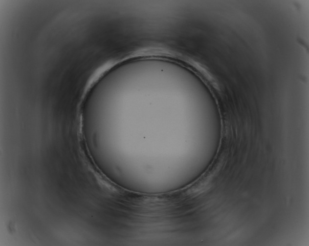 X0000096661366200802050947