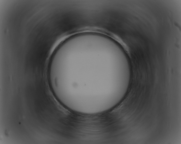 X0000096661368200802050947