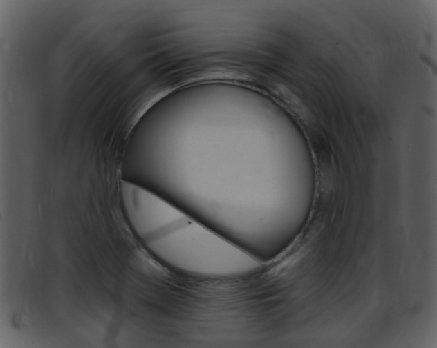 X0000096661369200802050947