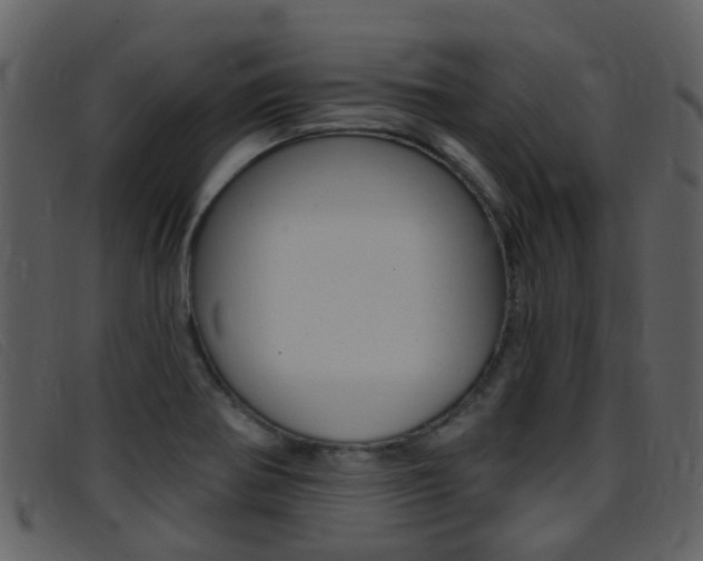 X0000096661370200802050947