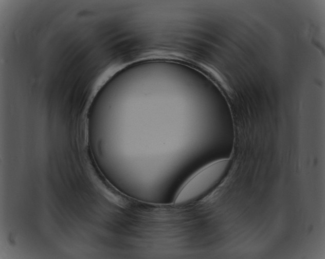 X0000096661371200802050947