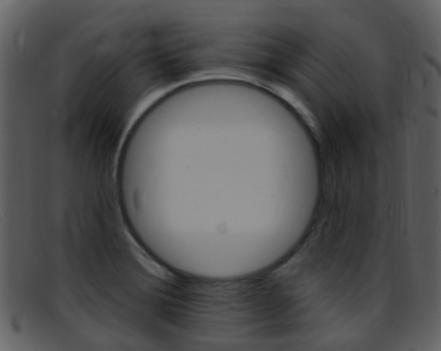 X0000096661372200802050947
