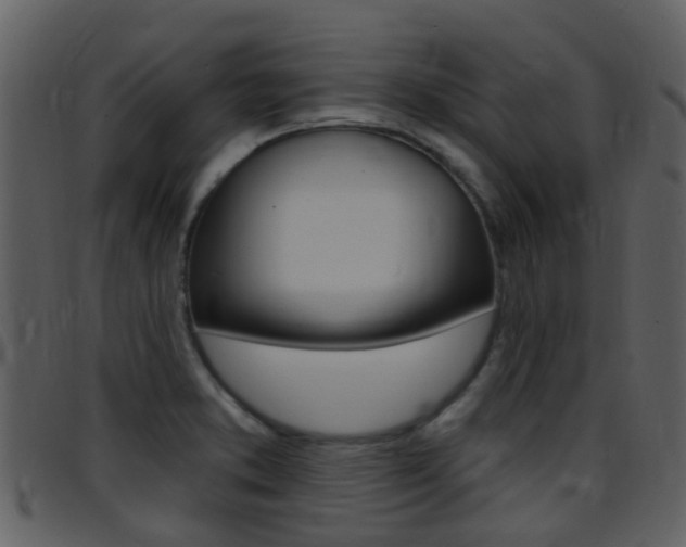 X0000096661373200802050947