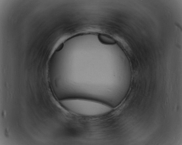 X0000096661374200802050947