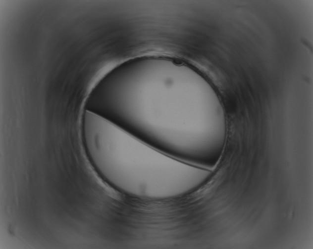 X0000096661375200802050947