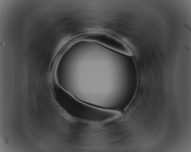 X0000096661376200802050947