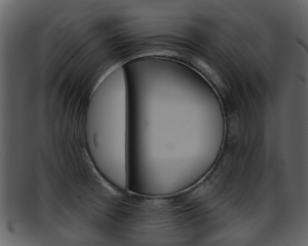 X0000096661377200802050947