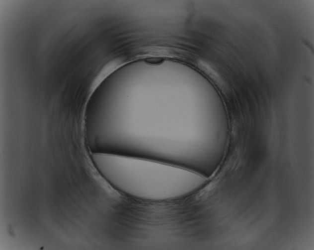 X0000096661378200802050947