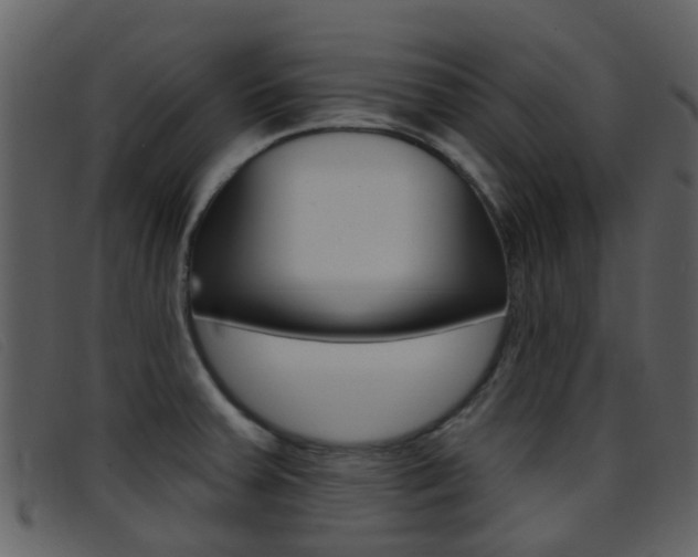 X0000096661379200802050947